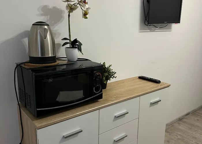 Apartament Nr 5 Lub 6 Przy Sali Kominkowej